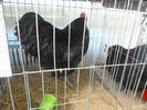 P3030391