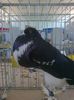 Picture0366