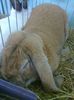 Picture0376