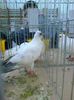 Picture0378