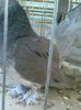 Picture0386