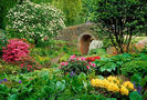 DellGarden-rb2586-17