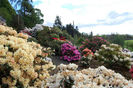 2010Jan131263380075Vinery_views_May_2009