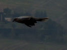 RSCN1147