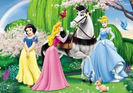 acestia sunt cateii printeselor disney
