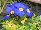 DSCN5318