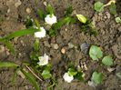 DSCN5324