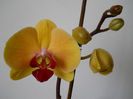 DSCN3427