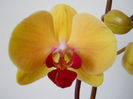 DSCN3428