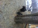 Picture 001