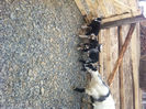 Picture 015