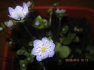 IMG_0940