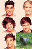 1D