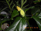 DSCN2751