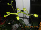 DSCN2747