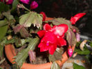 DSCN2729