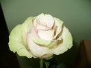 9 martie