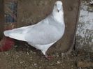 IMG_0302 m 2012
