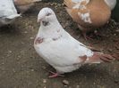 IMG_0391 m 2012