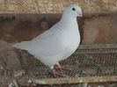 IMG_0324 f 2012