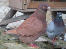 IMG_0216 m 2011