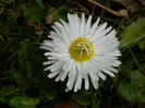 DSCN5375