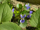 DSCN5409