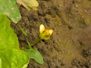 DSCN5489