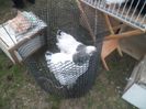 SAM_0270