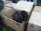 SAM_0288
