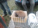 SAM_0304