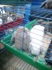 SAM_0319