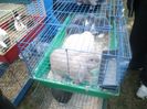 SAM_0320