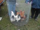 SAM_0326