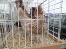 SAM_0337