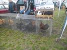 SAM_0340