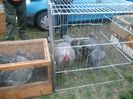 SAM_0347