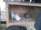 SAM_0350
