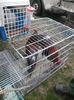 SAM_0355