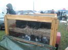 SAM_0361