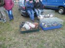 SAM_0366