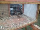 SAM_0369