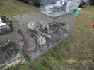 SAM_0371
