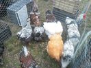 SAM_0374