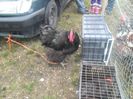 SAM_0376