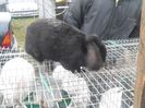 SAM_0390