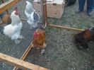 SAM_0400