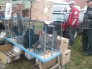SAM_0403