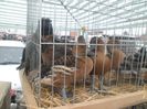 SAM_0417