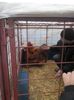 SAM_0418
